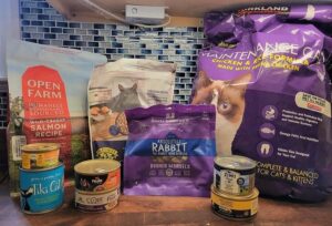 10 Best Cat Foods For Persian Cats To Fuel Your Gentle Kitty