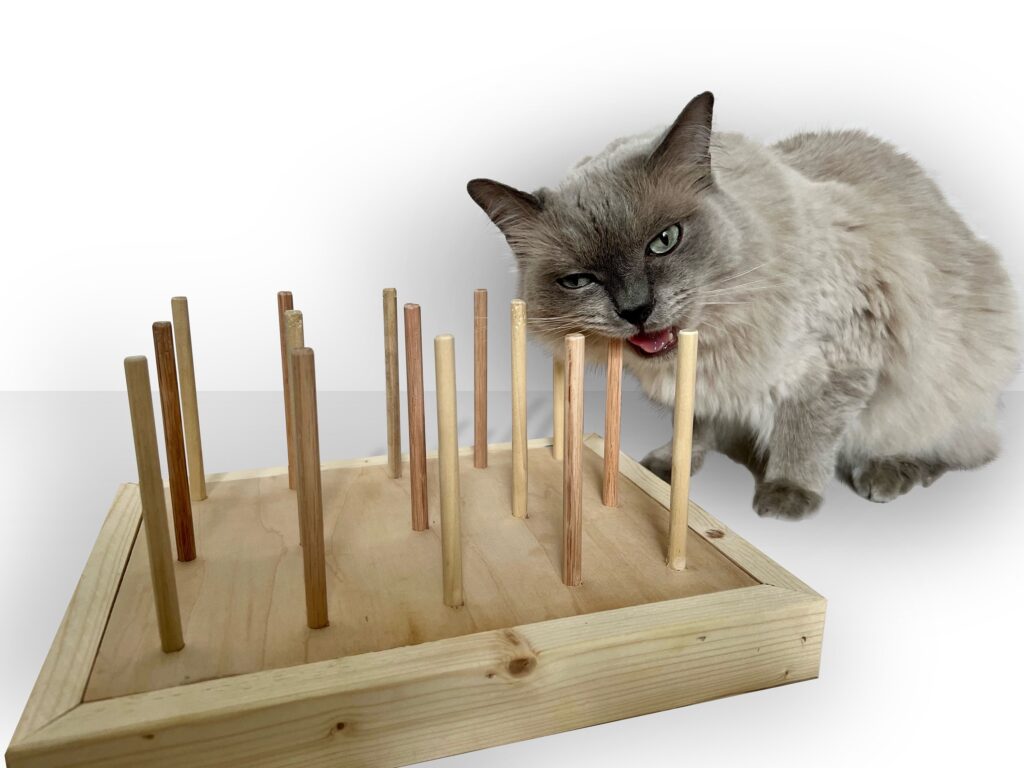 7 Best Persian Cat Toys To Entertain Your Furry Gremlin