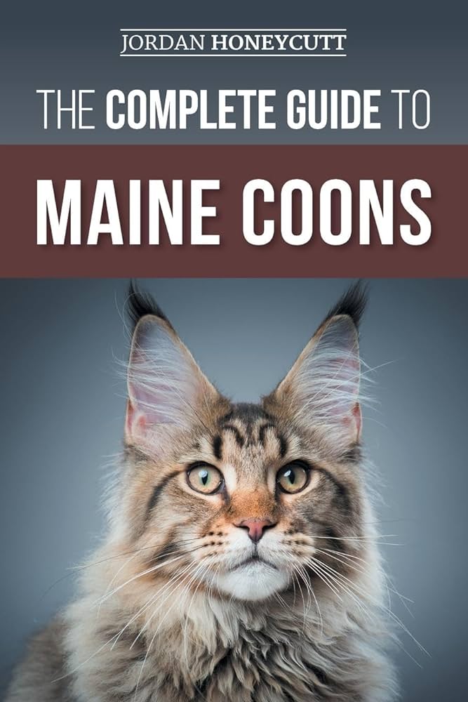 Caring For A Maine Coon: 12 Tips And Tricks For A Happy Coon