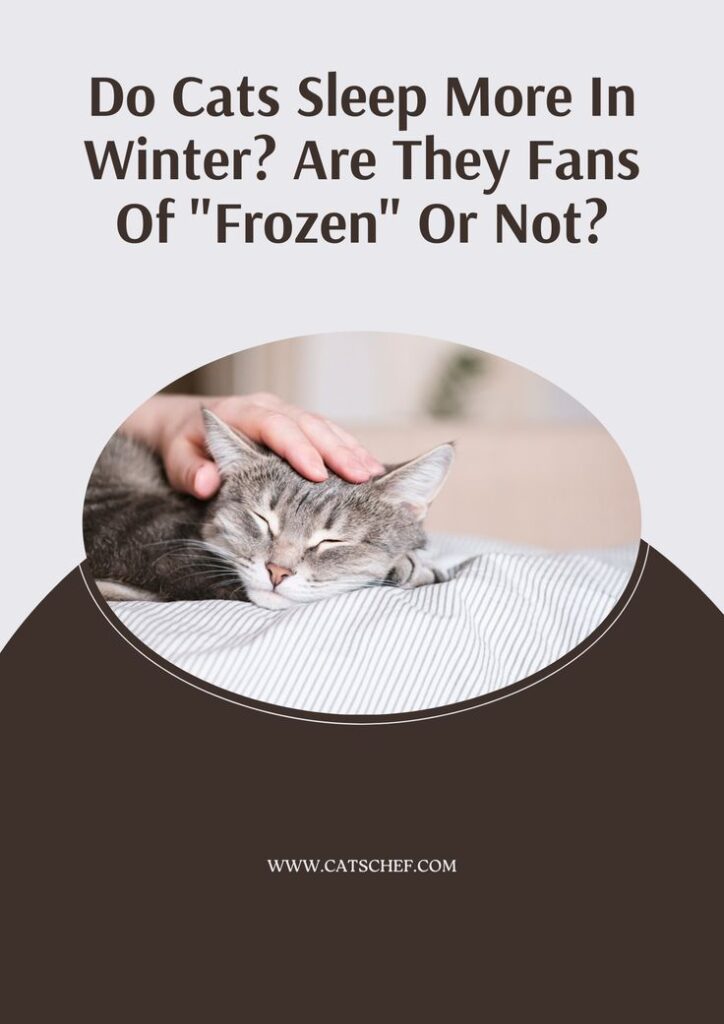 Do Cats Sleep More In Winter? Are They Fans Of “Frozen” Or Not?