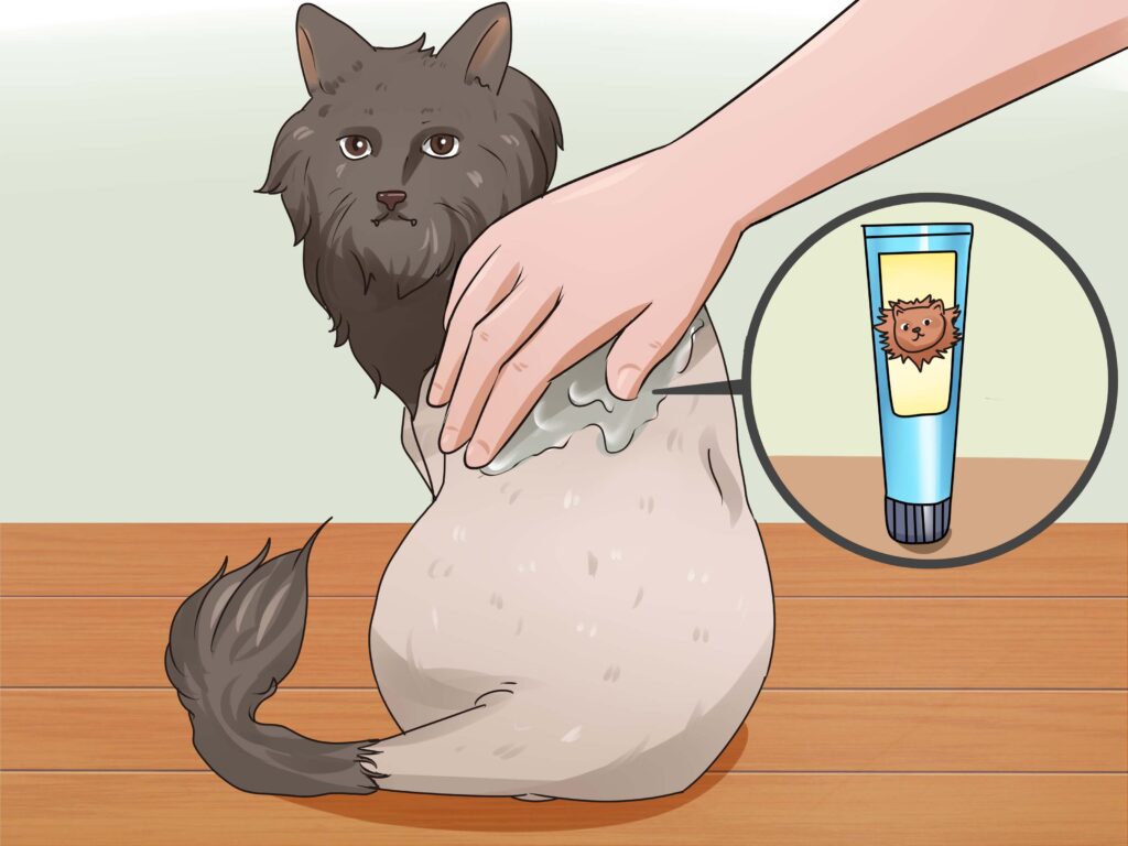 How To Shave A Cat That Hates It? 7 Effective Tips