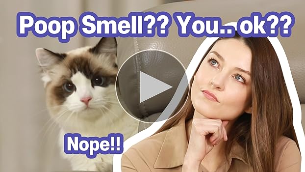 Stinky Cat Poop: Is Your Fluff Okay? Should You Be Worried?