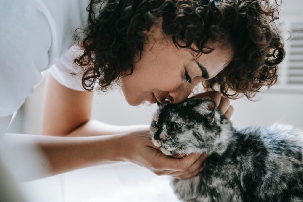 Why Do Cats Smell Good? 6 Reasons Behind Her Fragrance