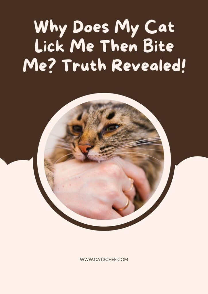 Why Does My Cat Lick Me Then Bite Me? Truth Revealed!