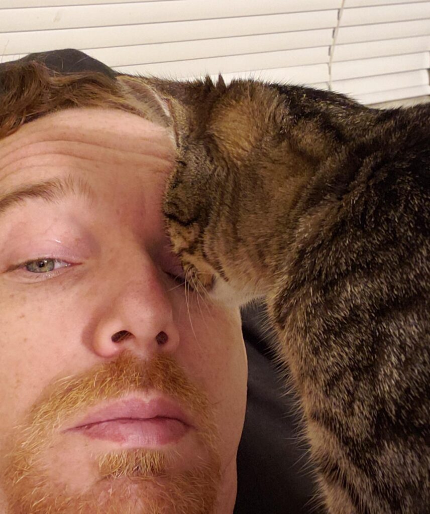 Why Does My Cat Sniff My Eye? What Does She Spy?