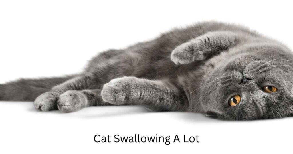 Cat Swallowing a lot