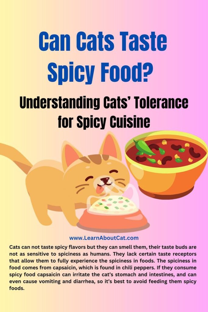 Can Cats Taste Spicy Food