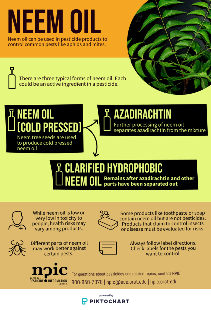 Is Neem Oil Safe for Cats