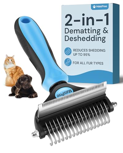 Best Brush for Maine Coon Cat