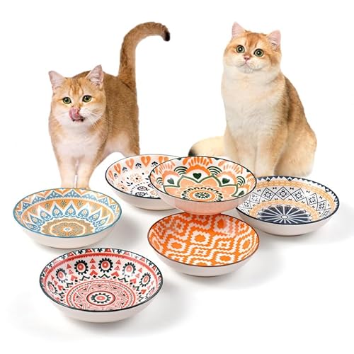 Best Cat Bowls for Whisker Fatigue