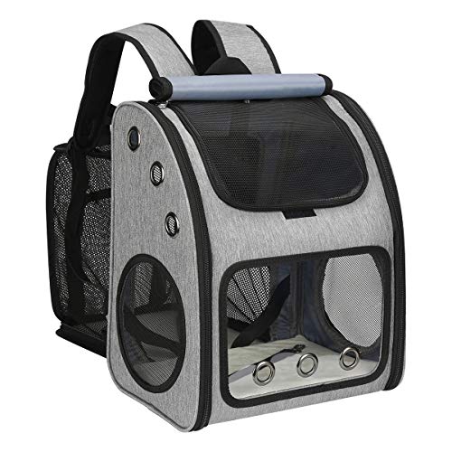 Best Cat Carrier for Scared Cat