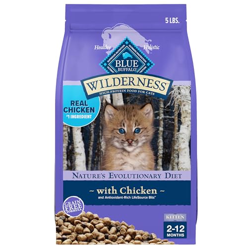 Best Cat Food for Cats With No Teeth