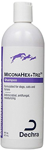 Best Cat Shampoo for Long Hair