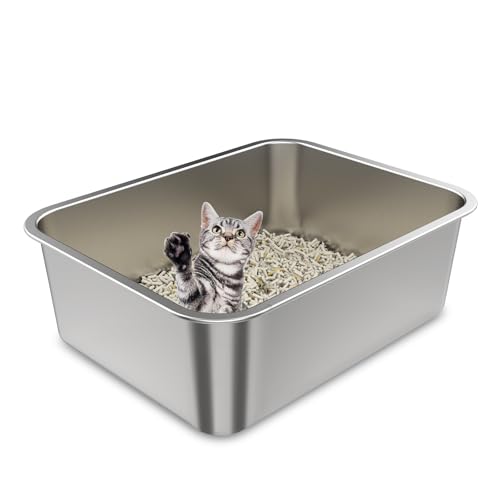 Best Litter Box for Elderly Cat