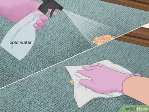 How to Clean Cat Vomit from Carpet