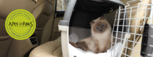 How to Sanitize Cat Carrier